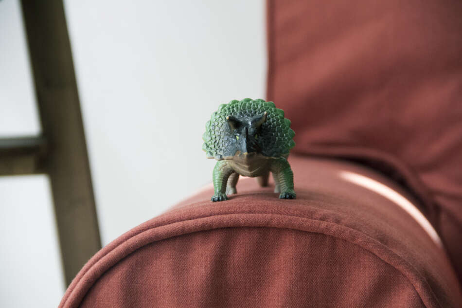 A cute Triceratops on top of the armrest of an Ektorp sofa with a custom sofa cover set in Shire Rust by Comfort Works