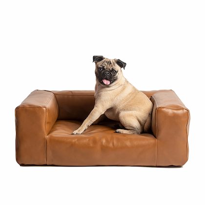 dog sofa in brown vegan leather slipcovers