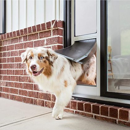 PetSafe pet door on Amazon