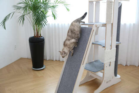 cat proof cat tree