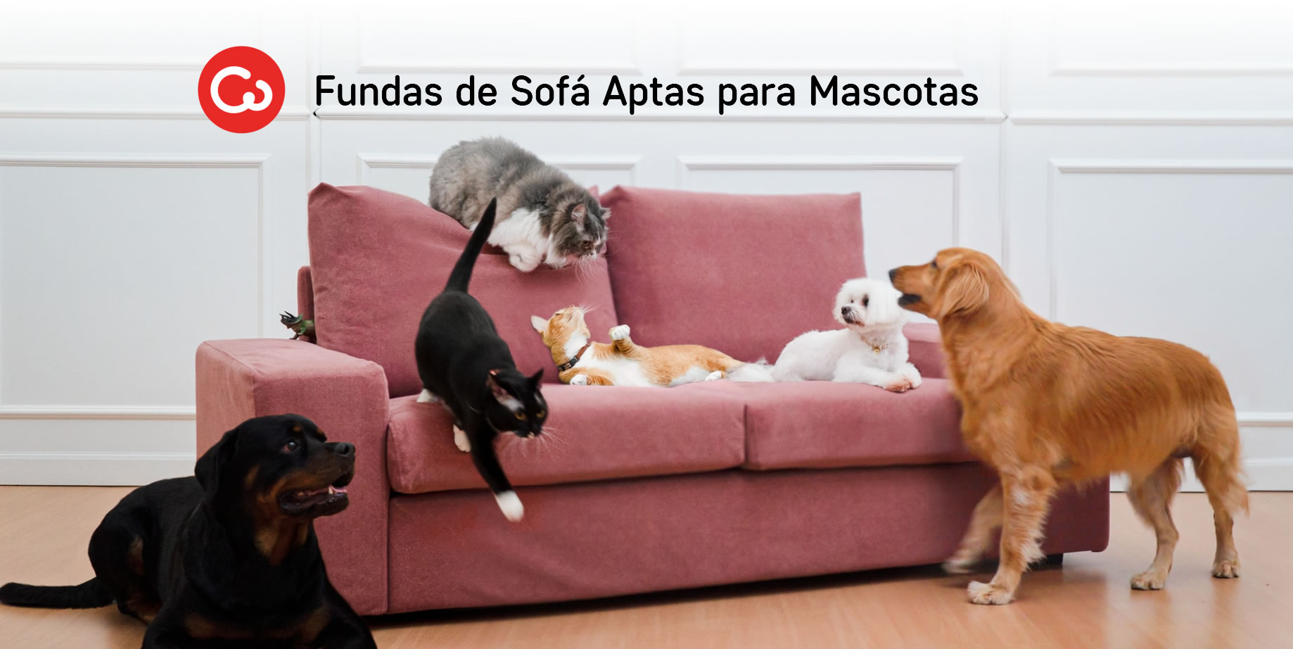 Fundas de sofás aptas para mascotas anti arañazos