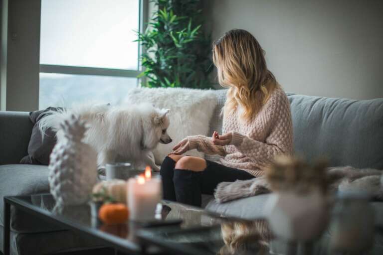 6 IKEA hacks every dog owner should know about