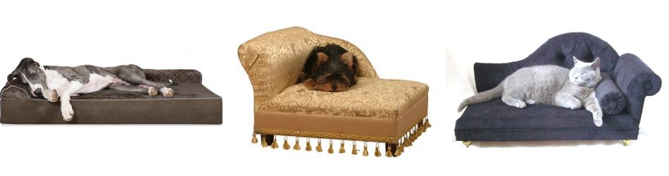 chaise lounge perros y gatos