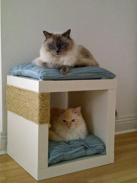 7 Astuces IKEA Incroyables dont votre Chat tombera Amoureux 