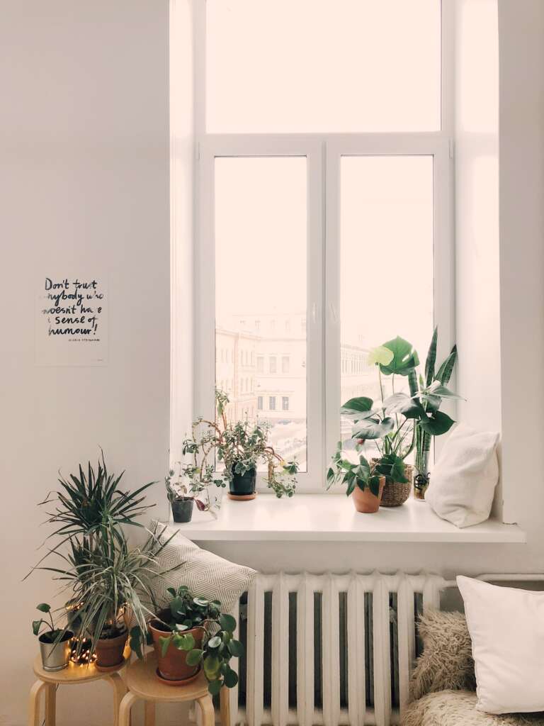The beginners guide to setting up an indoor garden