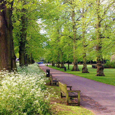 Norwich in United Kingdom