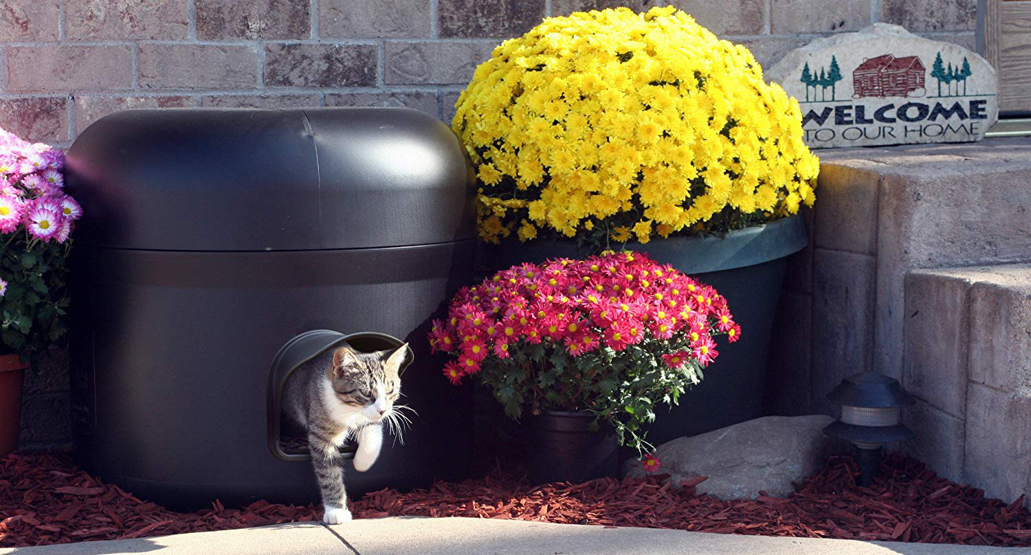 What are the best cat houses? Find out in this blog post