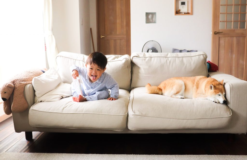 お子様がいても、ペットを飼っていても安心！コンフォートワークスの優秀な生地コレクションの中には汚れや傷にも強い生地がたくさんあります。