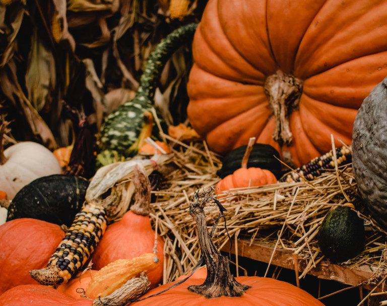 Natürliche Herbst-Dekoration aus Kürbis und getrockneten Blättern