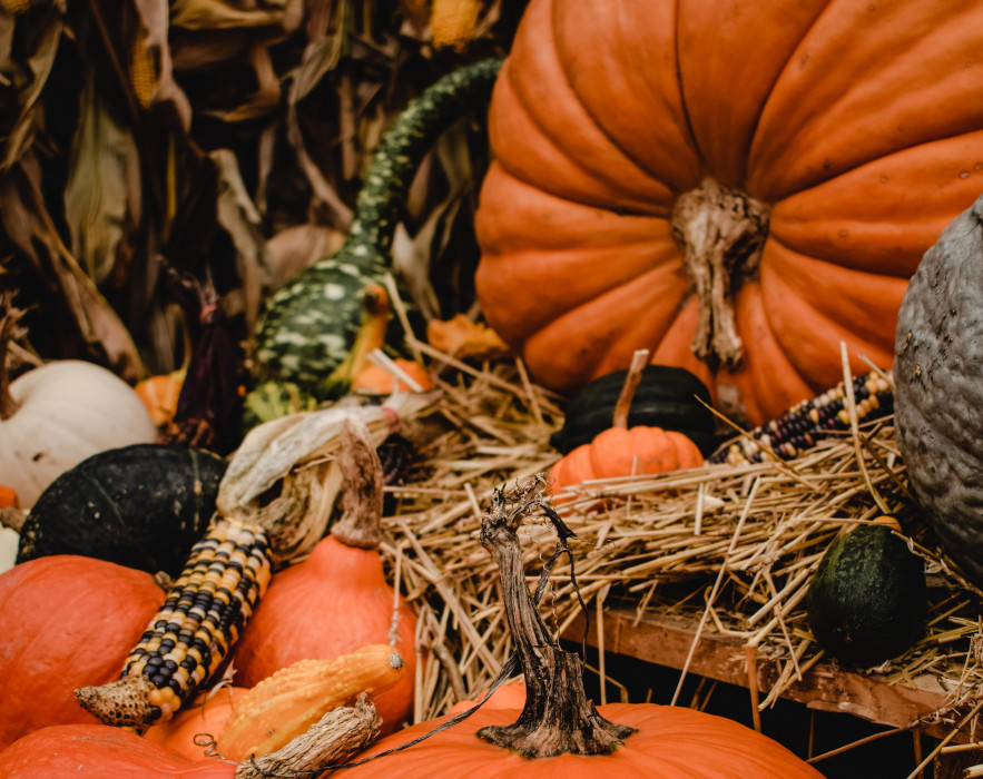 Natural Fall decoration pumpkins corn husks dried leaves