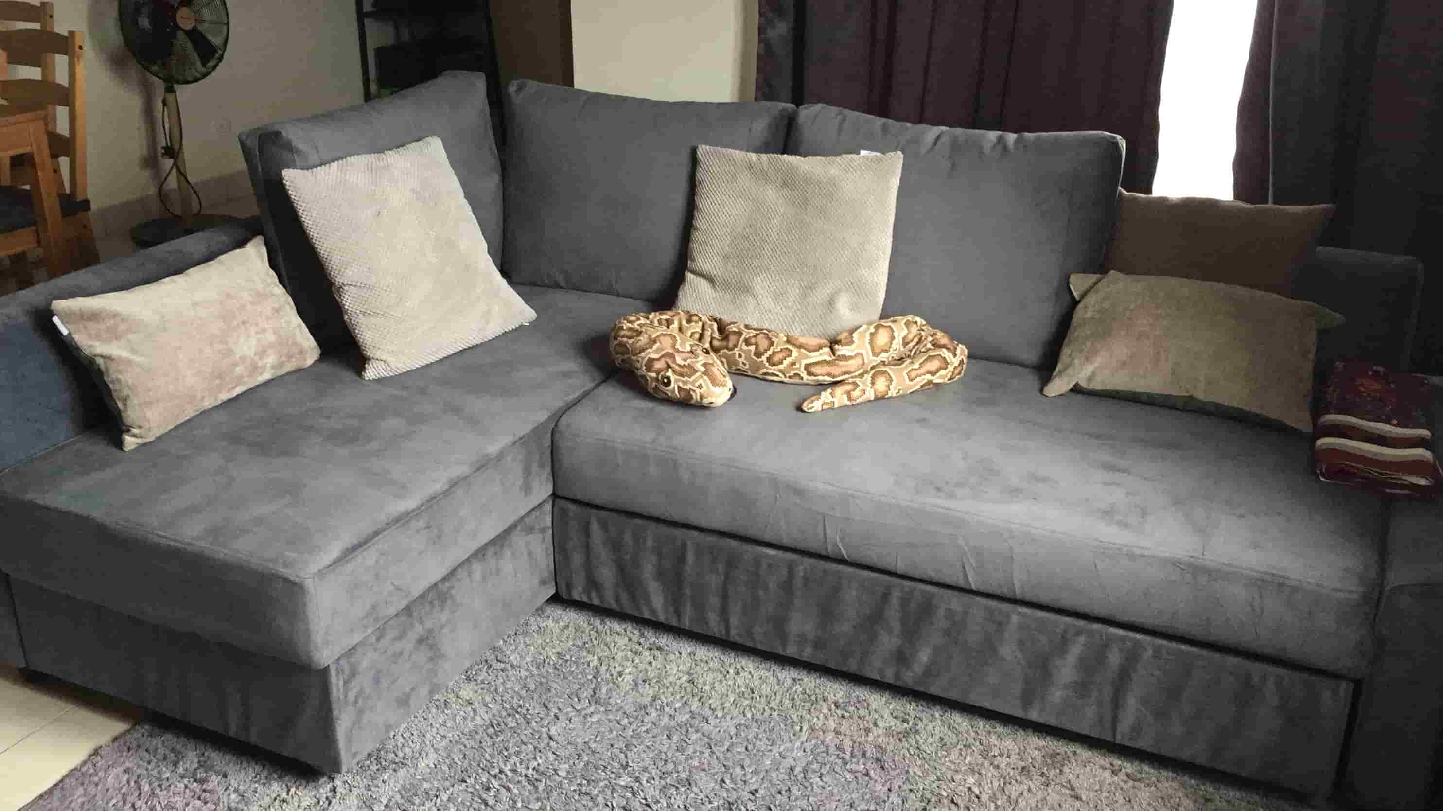 Informeer hervorming Noodlottig IKEA Friheten review – IKEA's most popular sofa bed | Comfort Works Blog &  Sofa Resources