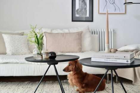 A white sofa in a living room.