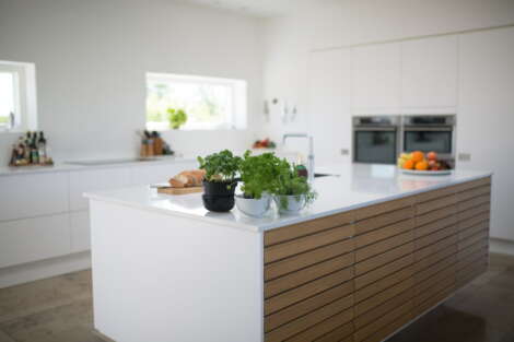 clean-kitchen-plants-feng-shui