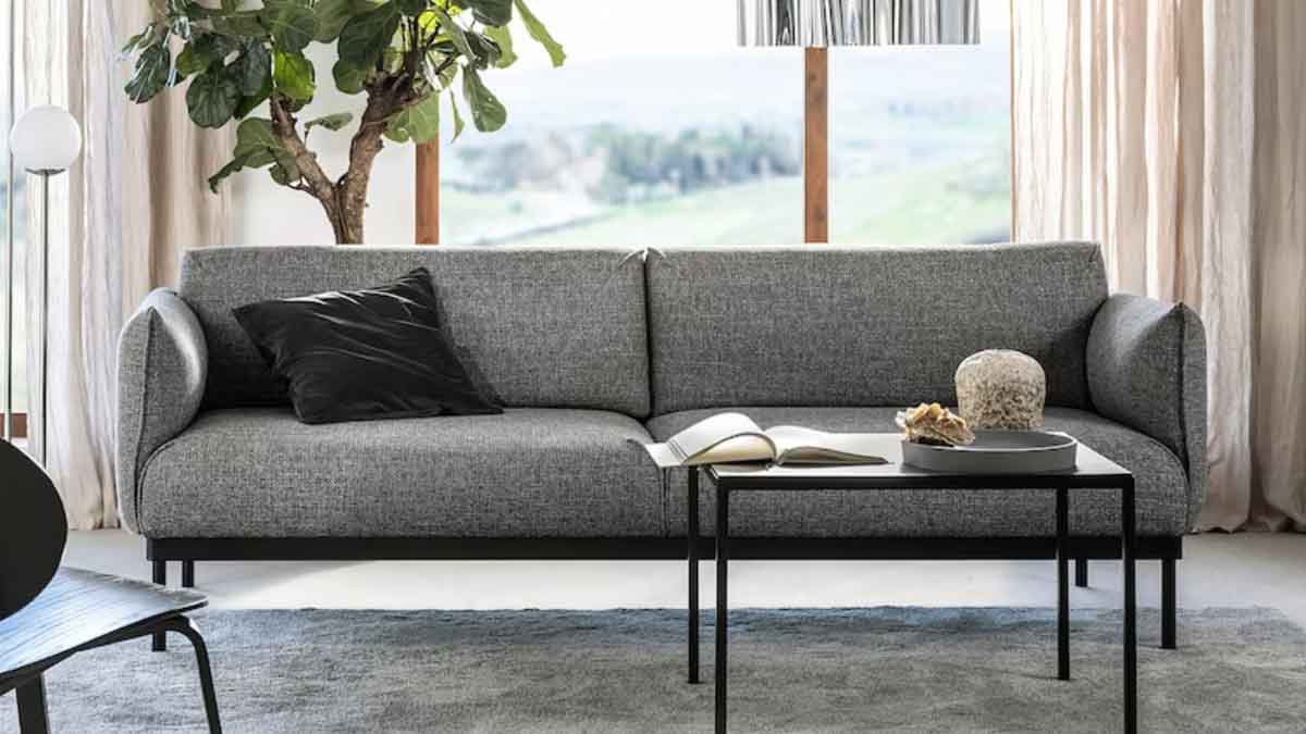 【るいるい】IKEA ソファー　ÄPPLARYD エップラリード ÄPPLARYD エップラリード 2人掛けソファ, ジューパルプ レッド